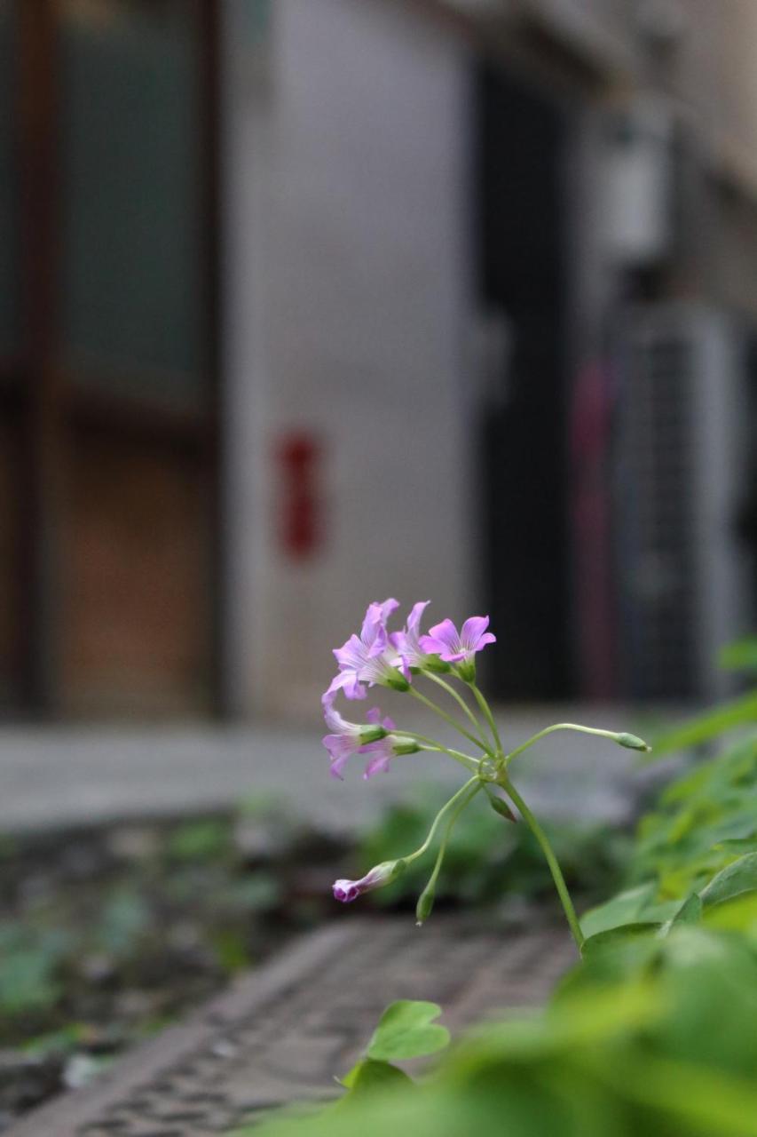 Chiyoda Inn Präfektur Tokio Exterior foto